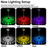 Solar Pathway Lights Changing Color Warm/White 