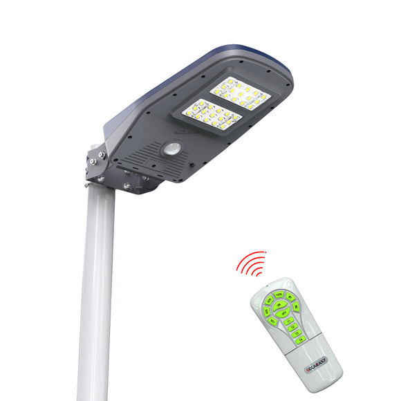 Solar Garden Light, Motion Sensor with Remote Control